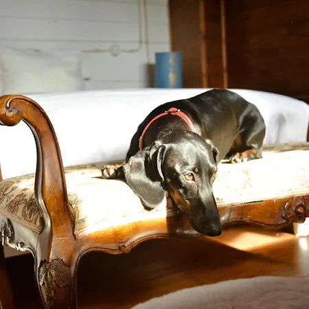 Casa Ottavia Boutique Bed & Breakfast Mossa